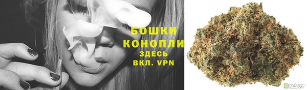 a pvp Богданович