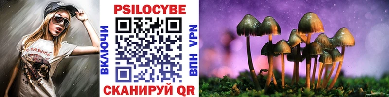 OMG tor  купить наркотик  Кашира  Псилоцибиновые грибы ЛСД 
