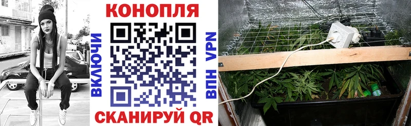 Каннабис VHQ  Кашира 